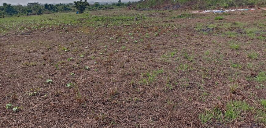 Estate Land, Full plot